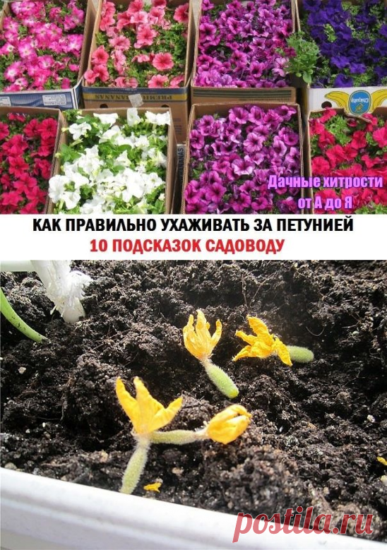 Вам сообщение!