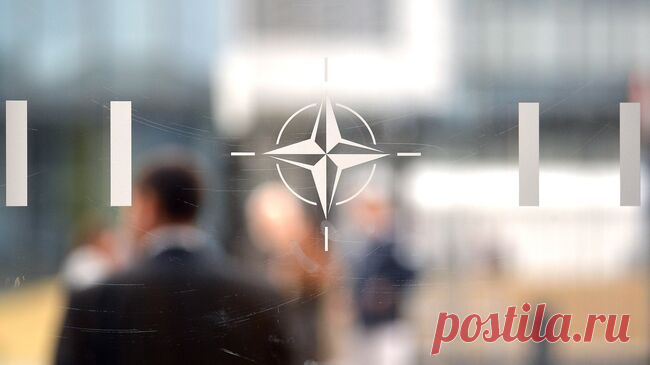 НАТО изжила себя и больше не нужна, заявили в Пентагоне