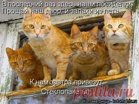 путь в цивилизацию...