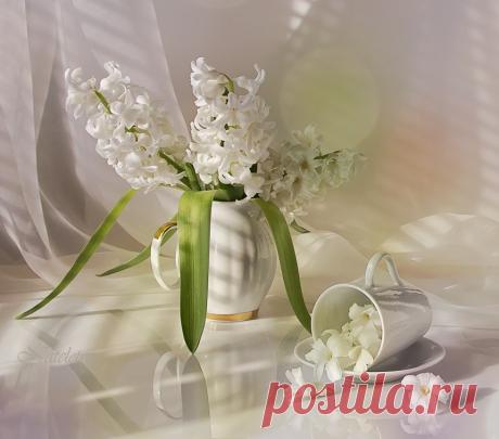 Здравствуйте люди в счастье!
Здравствуйте люди в буднях!
Радостью жизнь окрасьте,
Чтобы не жить Вам трудно.

Делайте с радостью дело.
Смехом наполните дом.
Здравием радуйте тело.
Будьте "сейчас" и "потом".

Здравствуйте