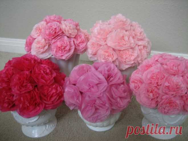 цветы из папиросной бумаги - Самое интересное в блогах