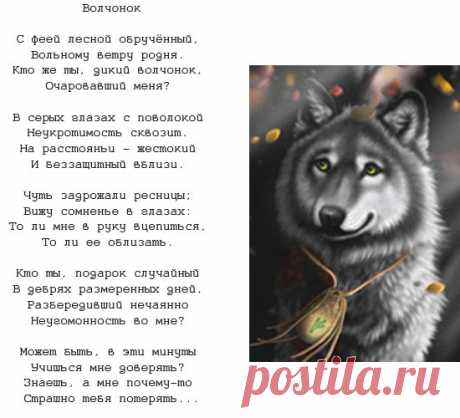 Волчья преданность