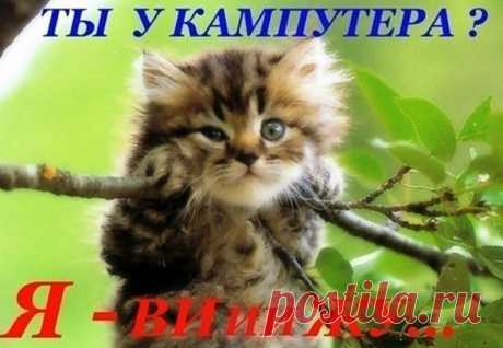 я все вижу.