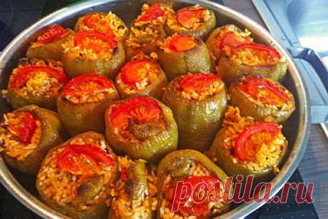 Dolma von Manil| Chefkoch
