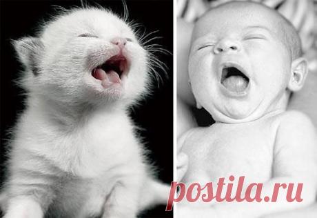 Omigu  &amp;raquo; Cute babies