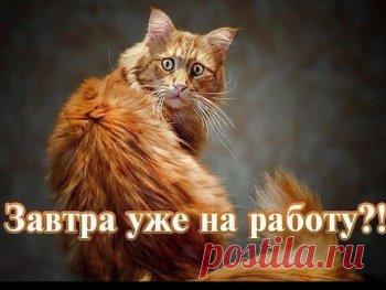 Открытки про воскресенье - последний выходной, перед трудовыми буднями - cтраница 2