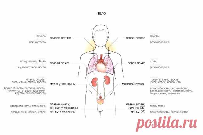 таблица луизы хей болезни и их первопричины тело и его болезни: 5 тыс изображений найдено в Яндекс.Картинках