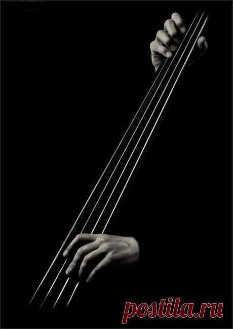 (1) Pinterest