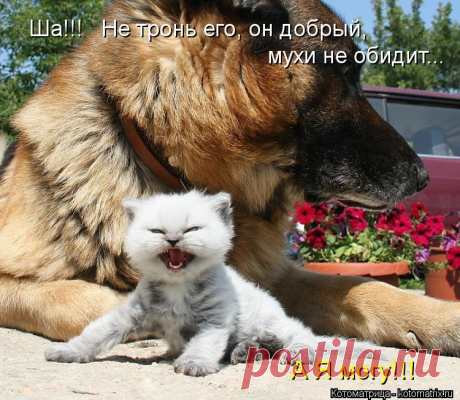Улыбнитесь. Попади мне в рот котлетой.....