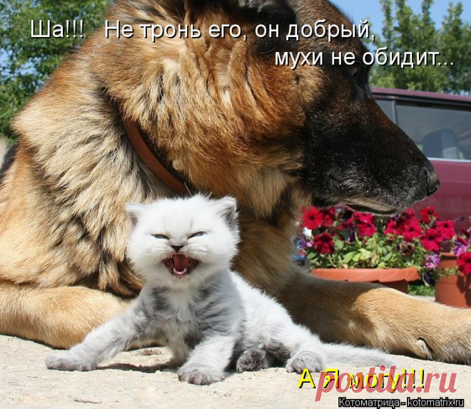 Улыбнитесь. Попади мне в рот котлетой.....