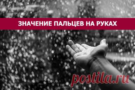 Значение пальцев на руках