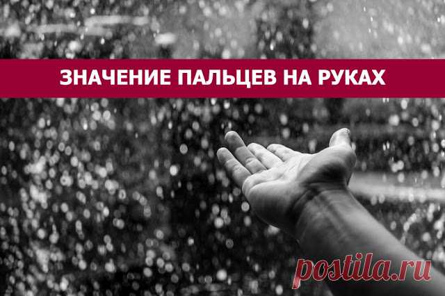 Значение пальцев на руках