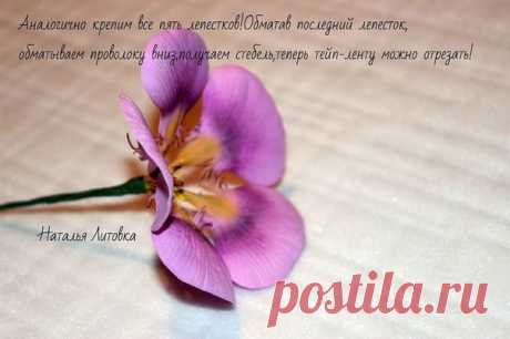 Настурция из фоамиарта(фоамиран) - Nebka.Ru