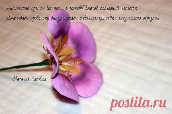 Настурция из фоамиарта(фоамиран) - Nebka.Ru