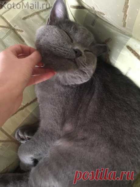 И счастью не было предела