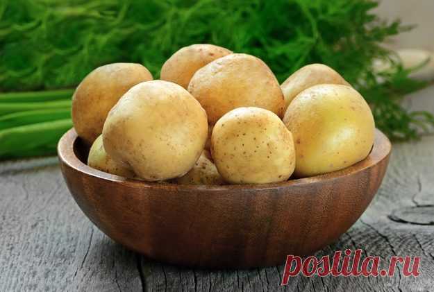 13 овощей лета, полезных для здоровья / Будьте здоровы