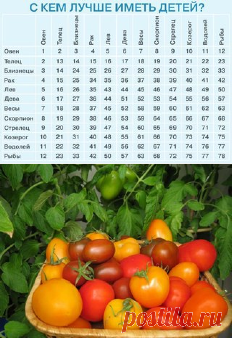 ИДЕАЛЬНАЯ ХОЗЯЙКА.Рецепты. Здоровье. Красота | ВКонтакте