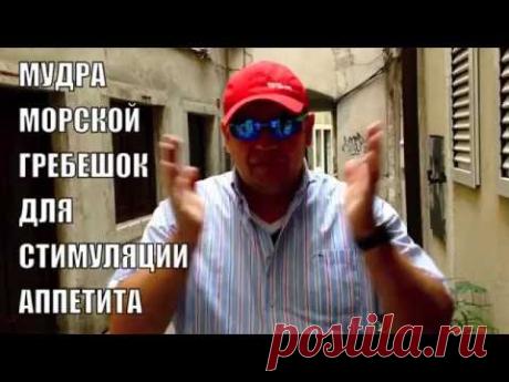 МУДРА МОРСКОЙ ГРЕБЕШОК для стимуляции аппетита