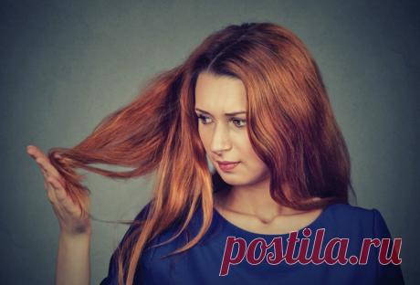 Почему секутся волосы и что с этим делать?