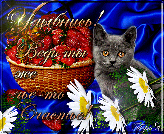 Мой Мир@Mail.Ru