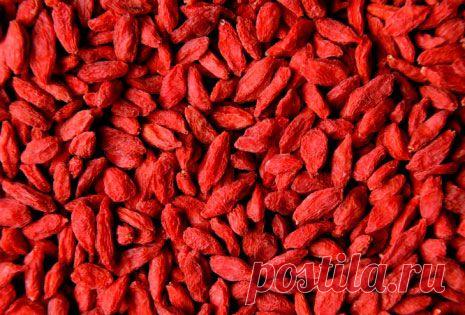 Купить Ягоды годжи в Казани