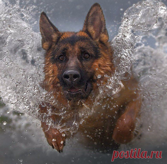 Просто красавец!