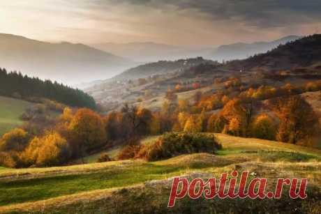 Самые красивые мелодии из симфоний | Культшпаргалка