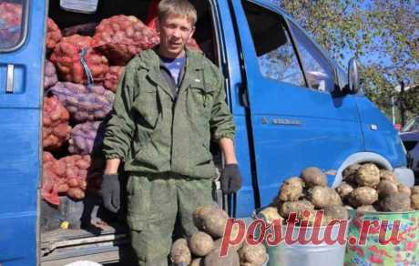 Agro- портал о садоводстве