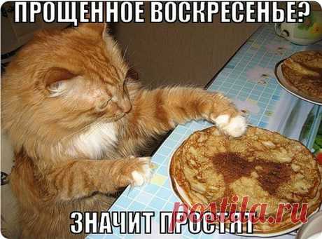 ❤ღツ Здесь вы найдёте самое интересное ✙ ВИДЕО  ❤ღツ