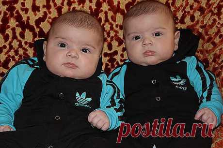 Ребёнок( 2 года )в парке увидел близнецов...Долго и удивлённо их разглядывал.Поворачивается к маме и с нажимом спрашивает :- А где мой такой?!                           (33) Одноклассники