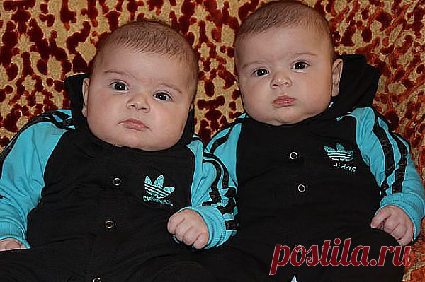 Ребёнок( 2 года )в парке увидел близнецов...Долго и удивлённо их разглядывал.Поворачивается к маме и с нажимом спрашивает :- А где мой такой?!                           (33) Одноклассники