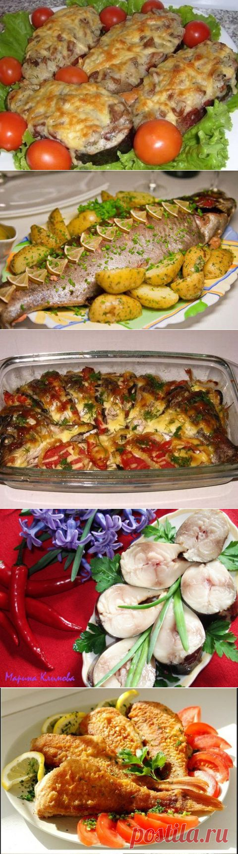 Вкуснейшие рыбные блюда. | ЖЕНСКИЙ МИР