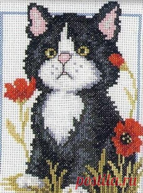 Набор для вышивания РТО "Чёрный котёнок", 12x16 см