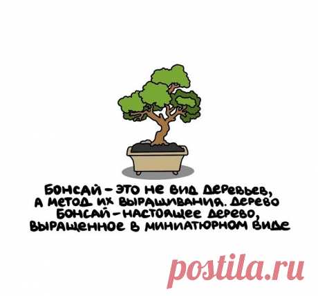 Интересные факты обо всем в картинках (13.07.22) - Нет скуки.ру. Юмор, приколы, смешные картинки и разные интересности..