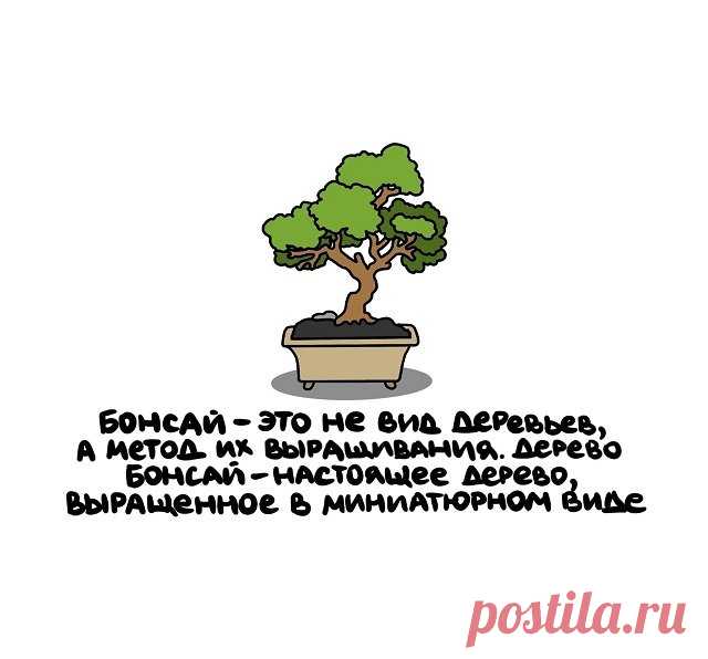 Интересные факты обо всем в картинках (13.07.22) - Нет скуки.ру. Юмор, приколы, смешные картинки и разные интересности..