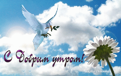 ДОБРОГО УТРА!!! МИРНОГО НЕБА НАД ГОЛОВОЙ!!!