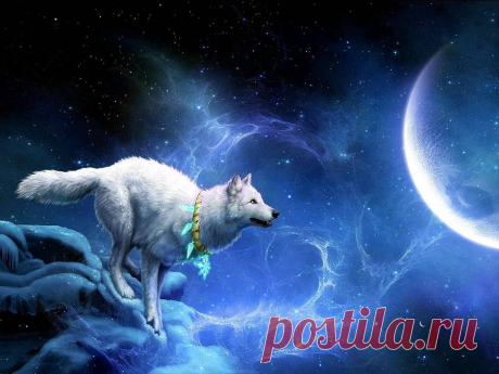 Download Wolf Wallpaper Over 50+ high-definition Wolf wallpapers for free download! Customize your desktop, mobile phone and tablet with our Wolf wallpapers now!