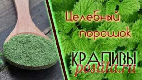 О ЦЕЛЕБНЫХ СВОЙСТВАХ — ПОРОШКА ИЗ КРАПИВЫ.
Уже после месяца приема этого средства вы навсегда забудете — о многих болезнях, ощутите прилив энергии и сил, а у мужчин к тому же повысится - потенция. Эффективной альтернативой отварам, настоям и травяным чаям может служить СУХОЙ порошок — из тех же целебных растений.
Его можно приготовить впрок и хранить в стеклянной банке с крышкой, тогда как растворы быстро портятся. К тому же намного меньше расходуется целебного сырья, что ...