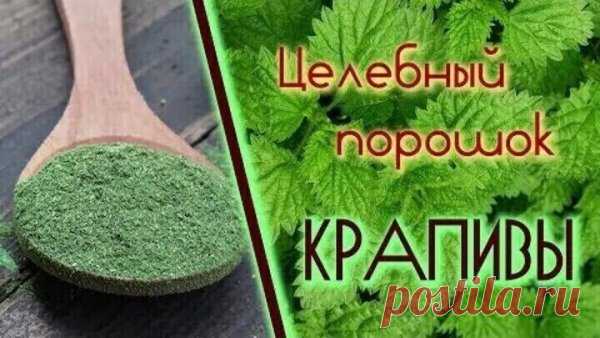 О ЦЕЛЕБНЫХ СВОЙСТВАХ — ПОРОШКА ИЗ КРАПИВЫ.
Уже после месяца приема этого средства вы навсегда забудете — о многих болезнях, ощутите прилив энергии и сил, а у мужчин к тому же повысится - потенция. Эффективной альтернативой отварам, настоям и травяным чаям может служить СУХОЙ порошок — из тех же целебных растений.
Его можно приготовить впрок и хранить в стеклянной банке с крышкой, тогда как растворы быстро портятся. К тому же намного меньше расходуется целебного сырья, что ...