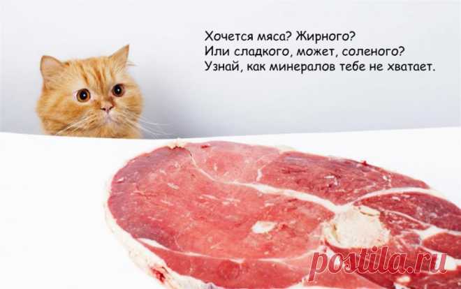 ЧЕГО ОРГАНИЗМУ НЕ ХВАТАЕТ, ЕСЛИ ХОЧЕТСЯ ОПРЕДЕЛЕННЫЙ ПРОДУКТ 


К своему телу стоит прислушиваться: наш организм часто посылает сигналы, когда хочет нам что-то сказать. Например, сыпь может означать аллергию на какой-то продукт, вздутие живота после молока част…