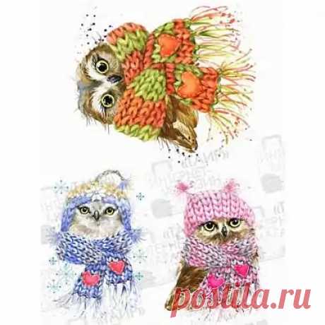 Декупажная карта Geronimo "Совушки в шарфах 1" А4, 25г/м2 купить в Минске, цены