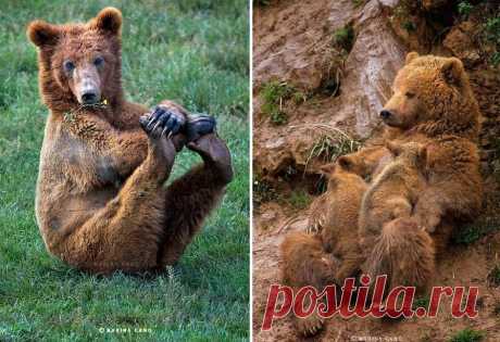 Самые красивыефотографии диких животных, которые мы когда- либо видели. / Bubr. ru