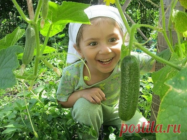 (99) Одноклассники