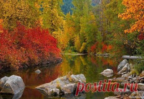 Интересные новости