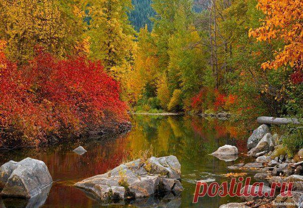 Интересные новости