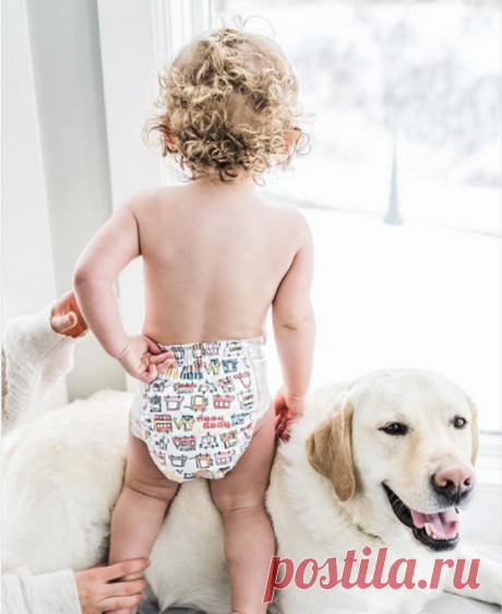 Подгузники.Компания The Honest Company предлагает протестировать их детские подгузники и влажные салфетки, которые изготовлены из натуральных материалов. Но отправка продуктов осуществляется за ваш счет.Еще один вариант — заказать бесплатный образец подгузников DryNites на сайте производителя.