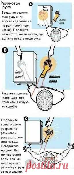 Мир интересен