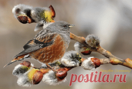 Фото группы - 21432 фото. Сообщество ❤ТЕПЛО МОЕЙ ДУШИ❤ - группы Мой Мир.