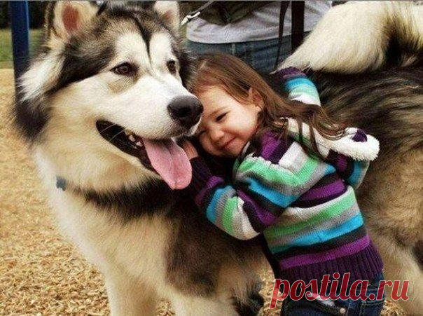 Верный друг всегда рядом &#8212; Чудеса