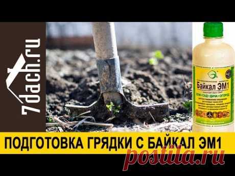 👩🌾 Как подготовить грядку с "Байкал ЭМ-1" - 7 дач